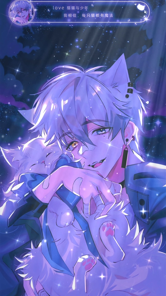 猫猫与少年