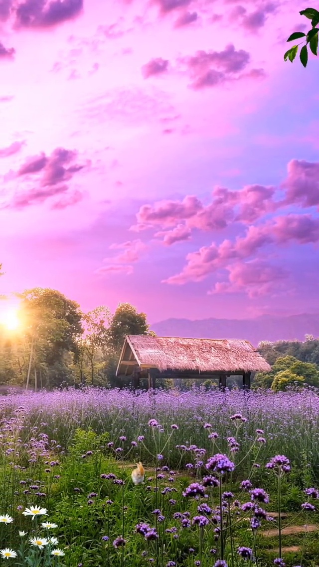 慢也好，步子小也好，是在往前走就好。