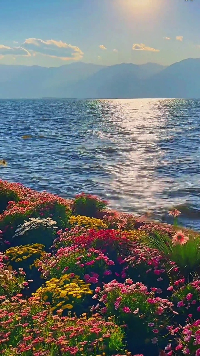 洱海边花海