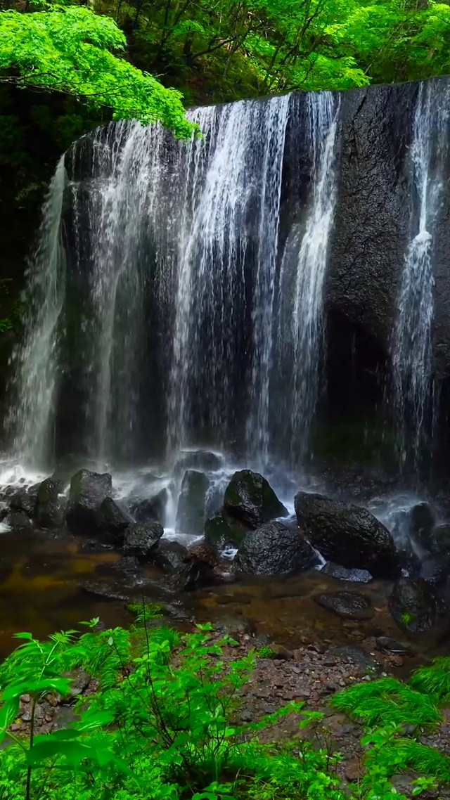 绿林清凉溪水瀑布