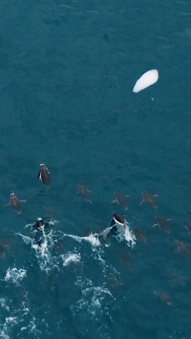 冲啊！干饭人！