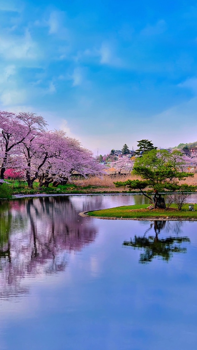 水波潋滟，碧水悠悠