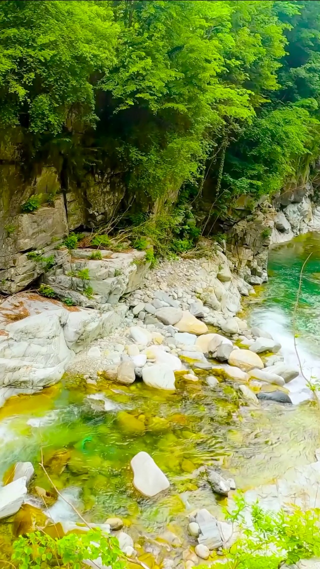 护眼绿林山涧