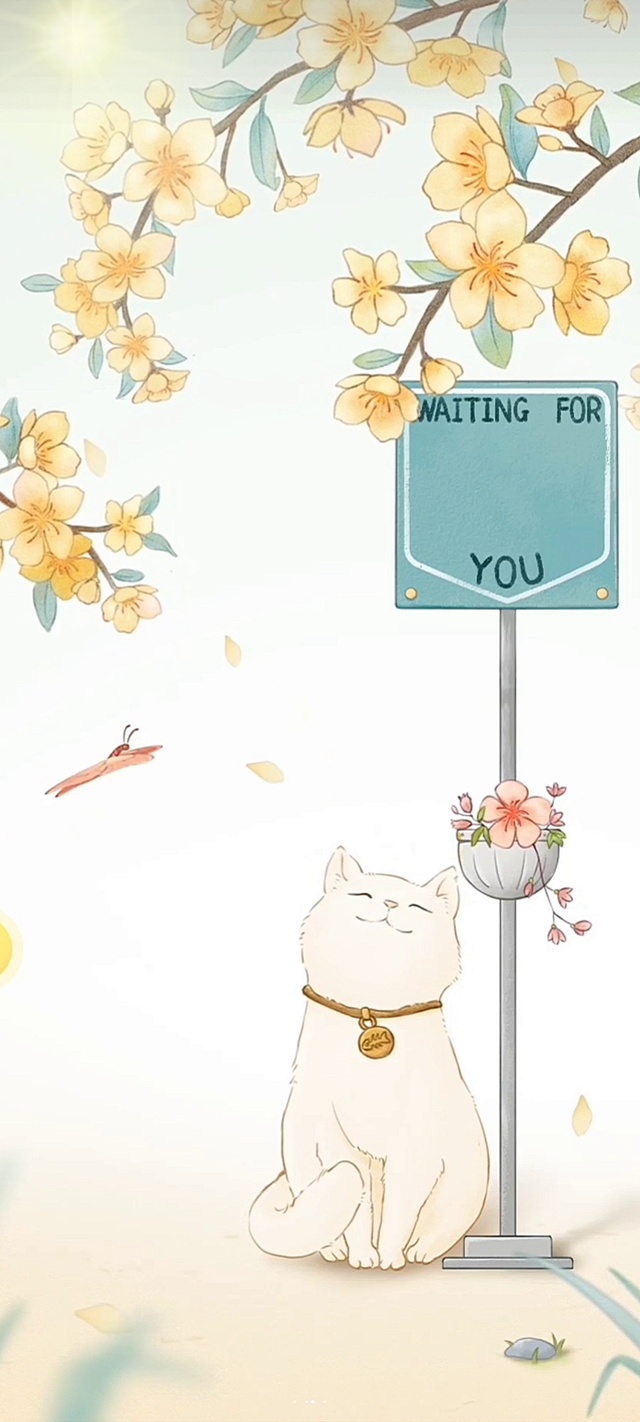 半暖时光