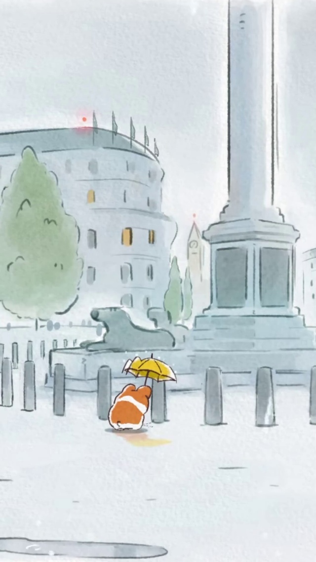 雨中柯基小狗狗