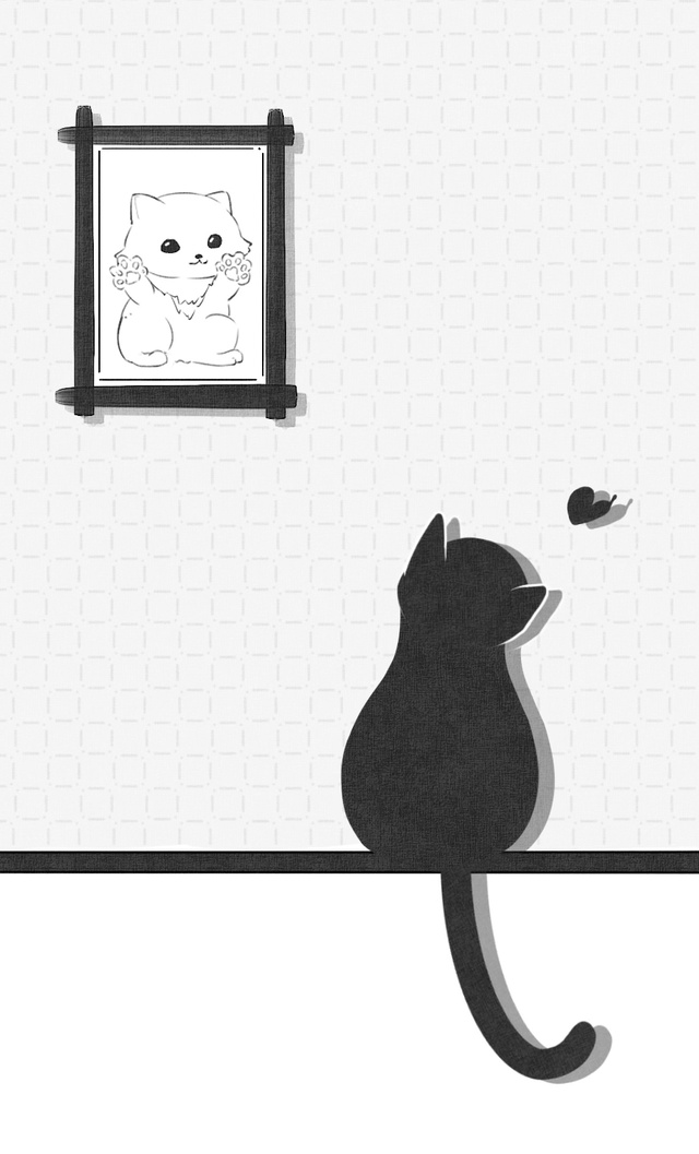 【动态壁纸】猫猫们