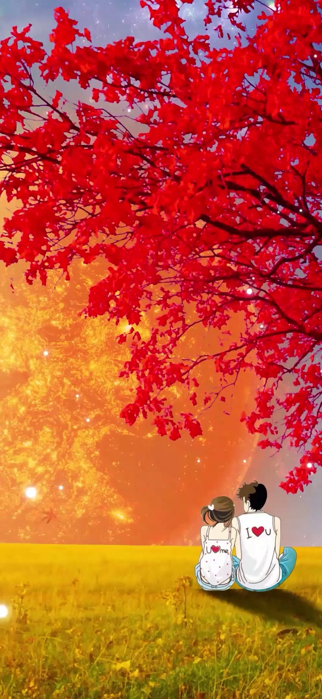 日出情侣红枫叶