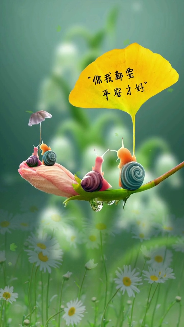 蜗牛