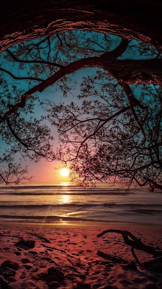 落日归山海山海藏深意