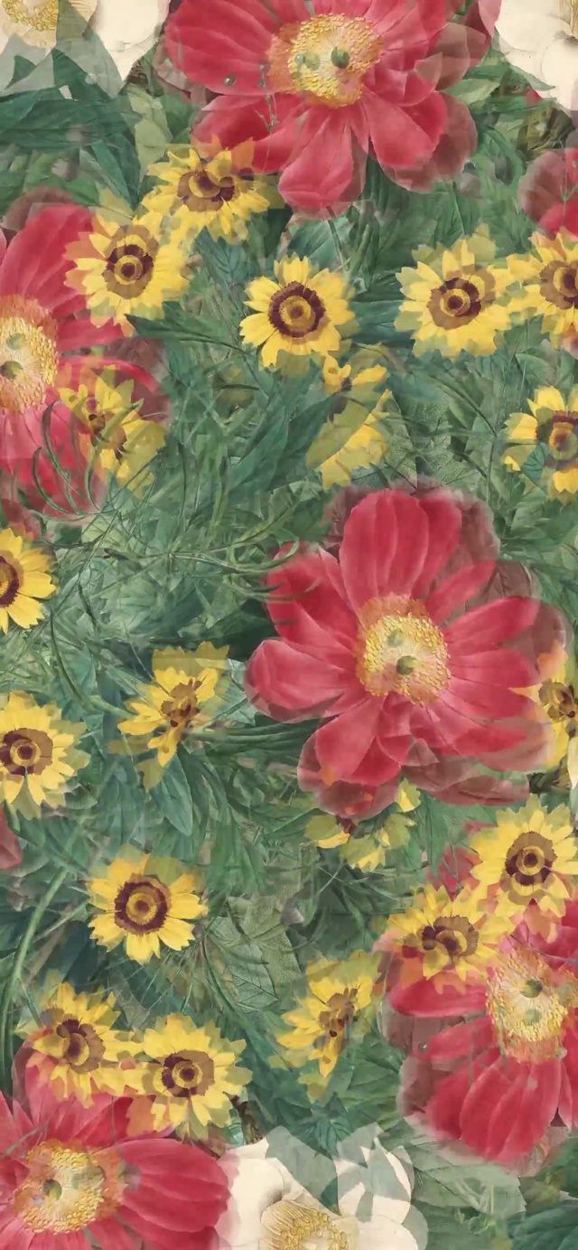 花海
