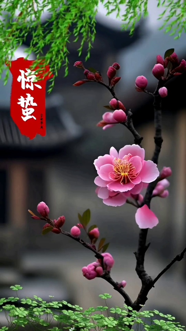 万物生长 不负春光