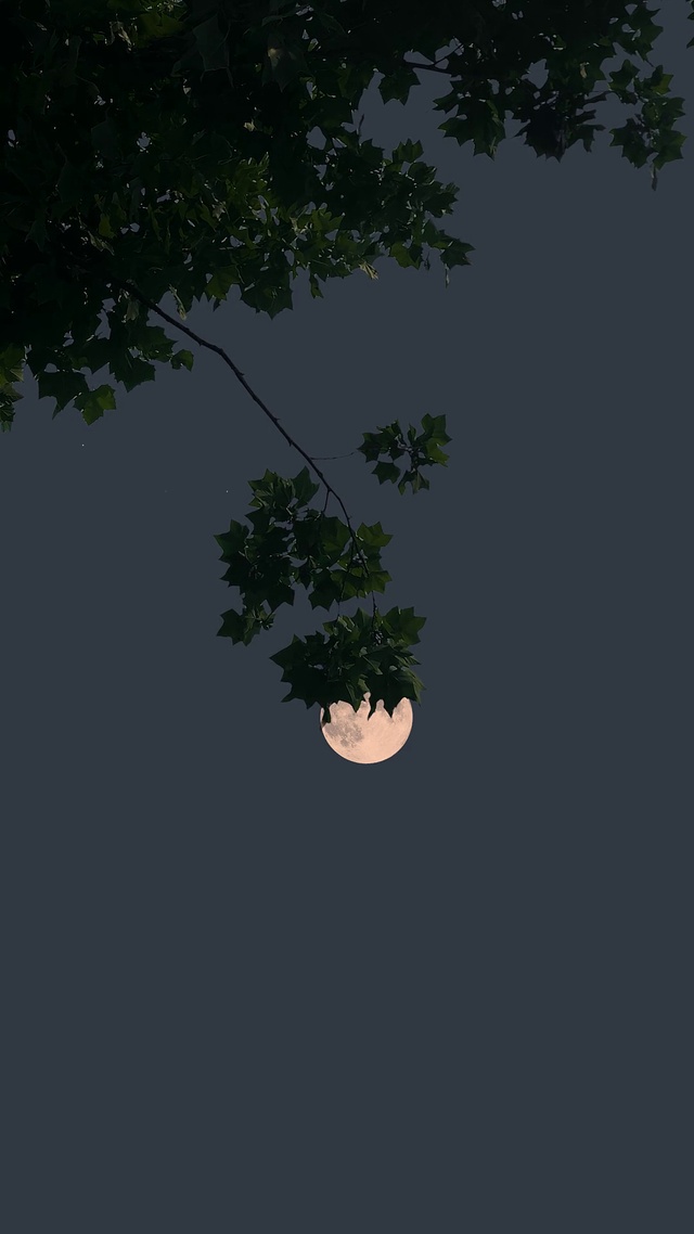 治愈夜景
