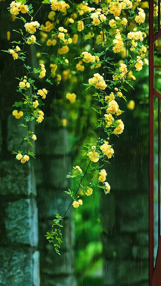 曾经，喜欢一个人；
现在，喜欢一个人。
