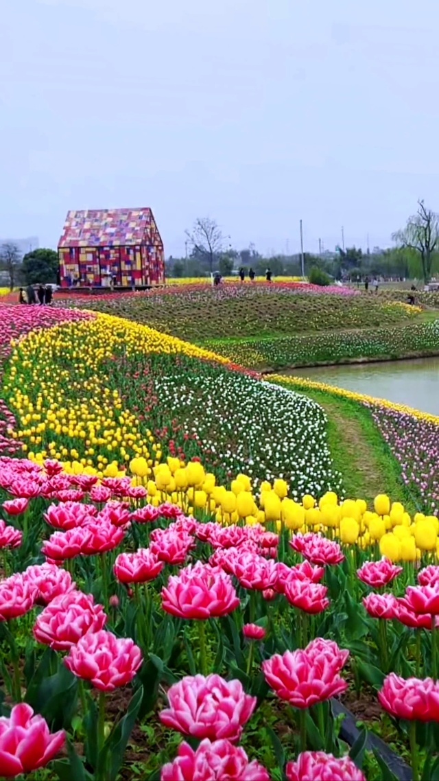 花海