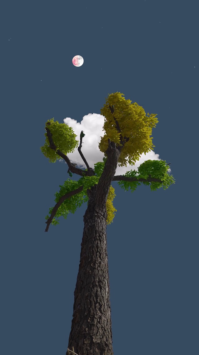 晚风吹过八千里