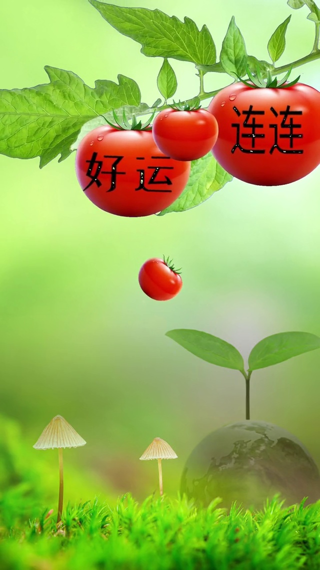 好运连连