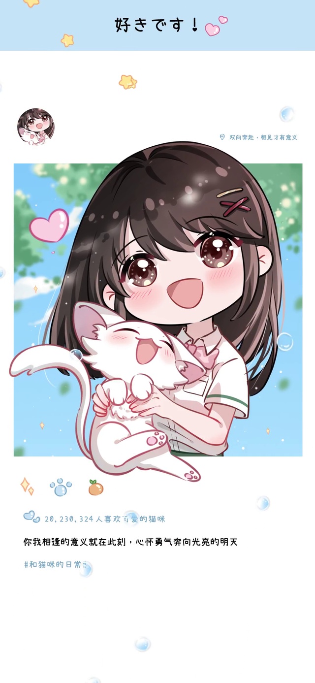 世界不能没有小猫咪