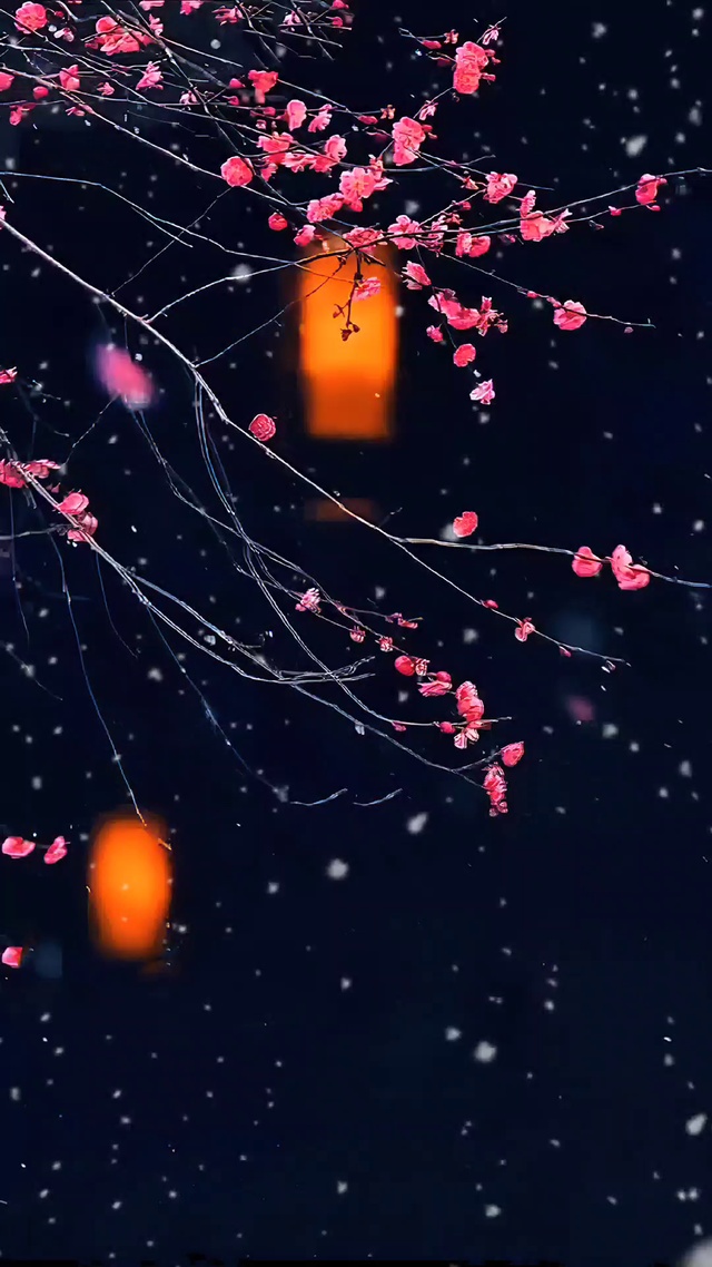 梅花