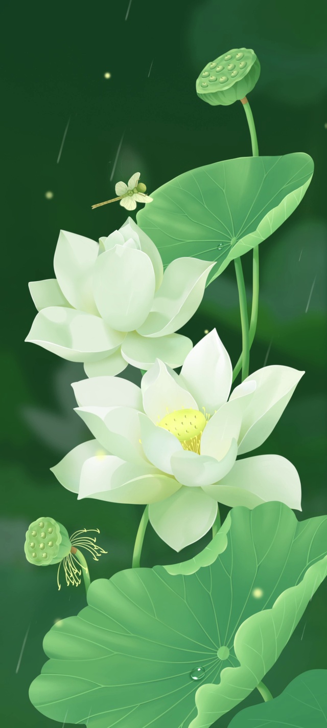 小荷才露尖尖角