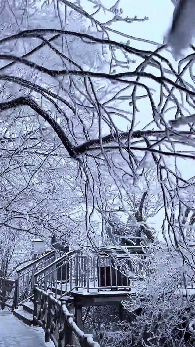 浪漫雪景
