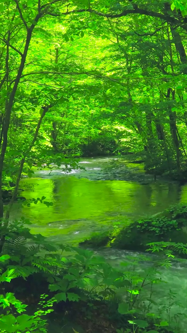 4K绿林流水