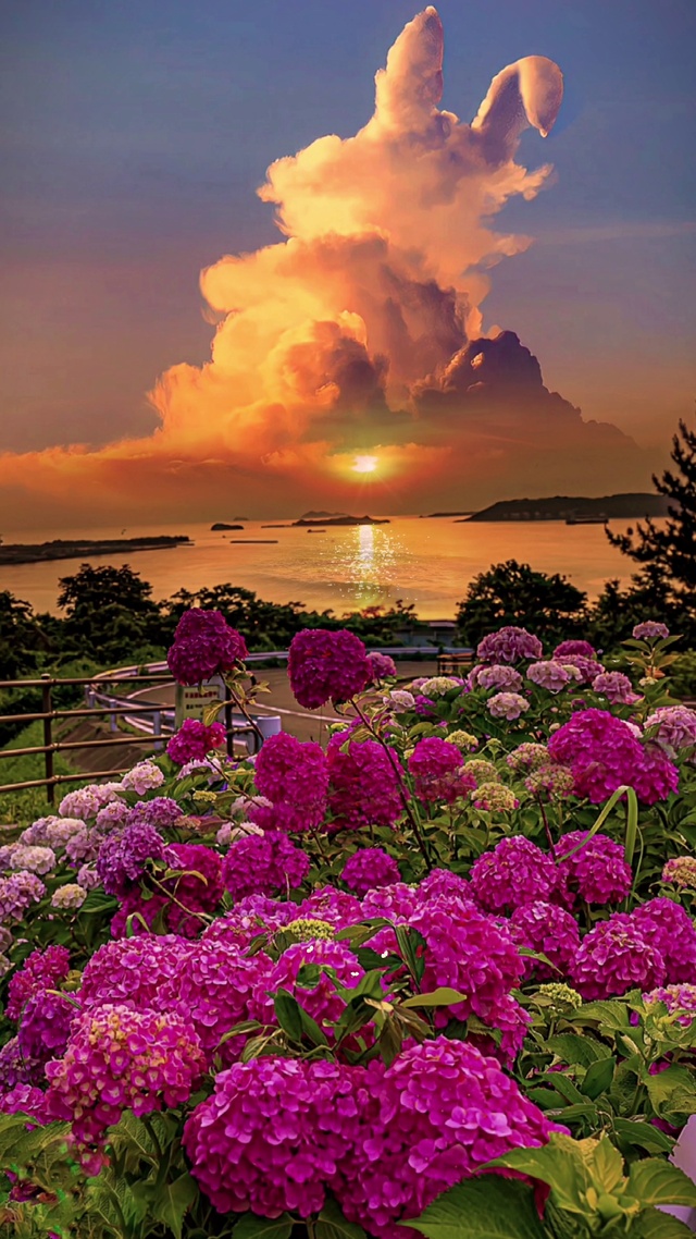 爱意随风起 风止意难平 