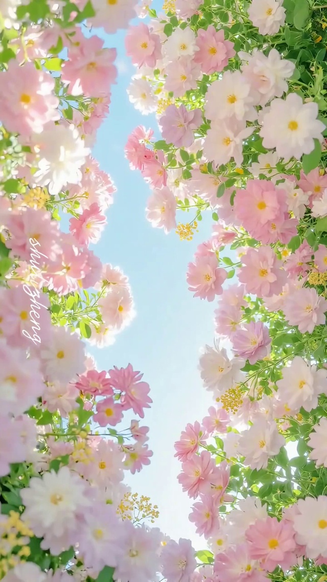 花花世界