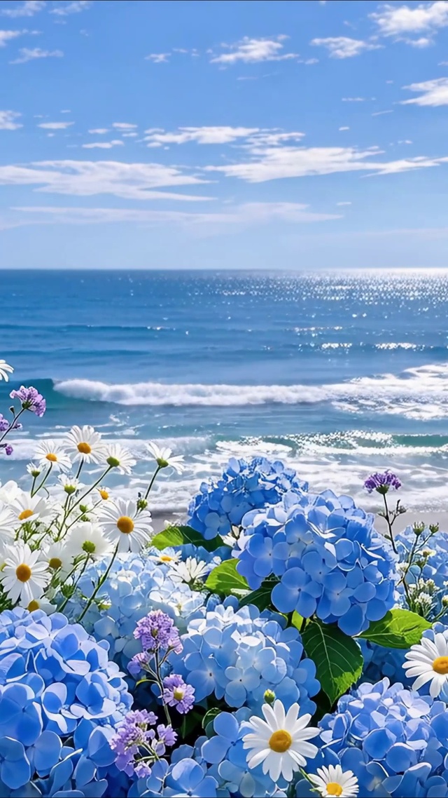 蓝色大海
