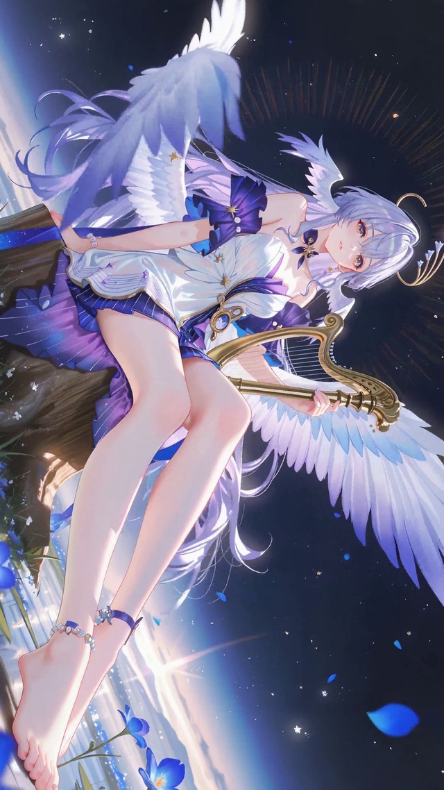 星河奏曲-知更鸟