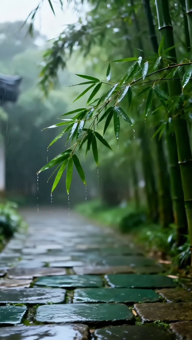雨竹