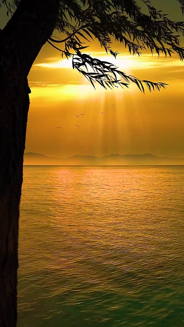 夕阳下的海