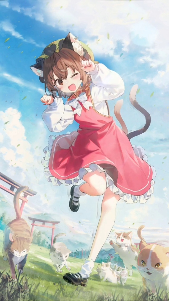 欢迎来到猫咪领悟