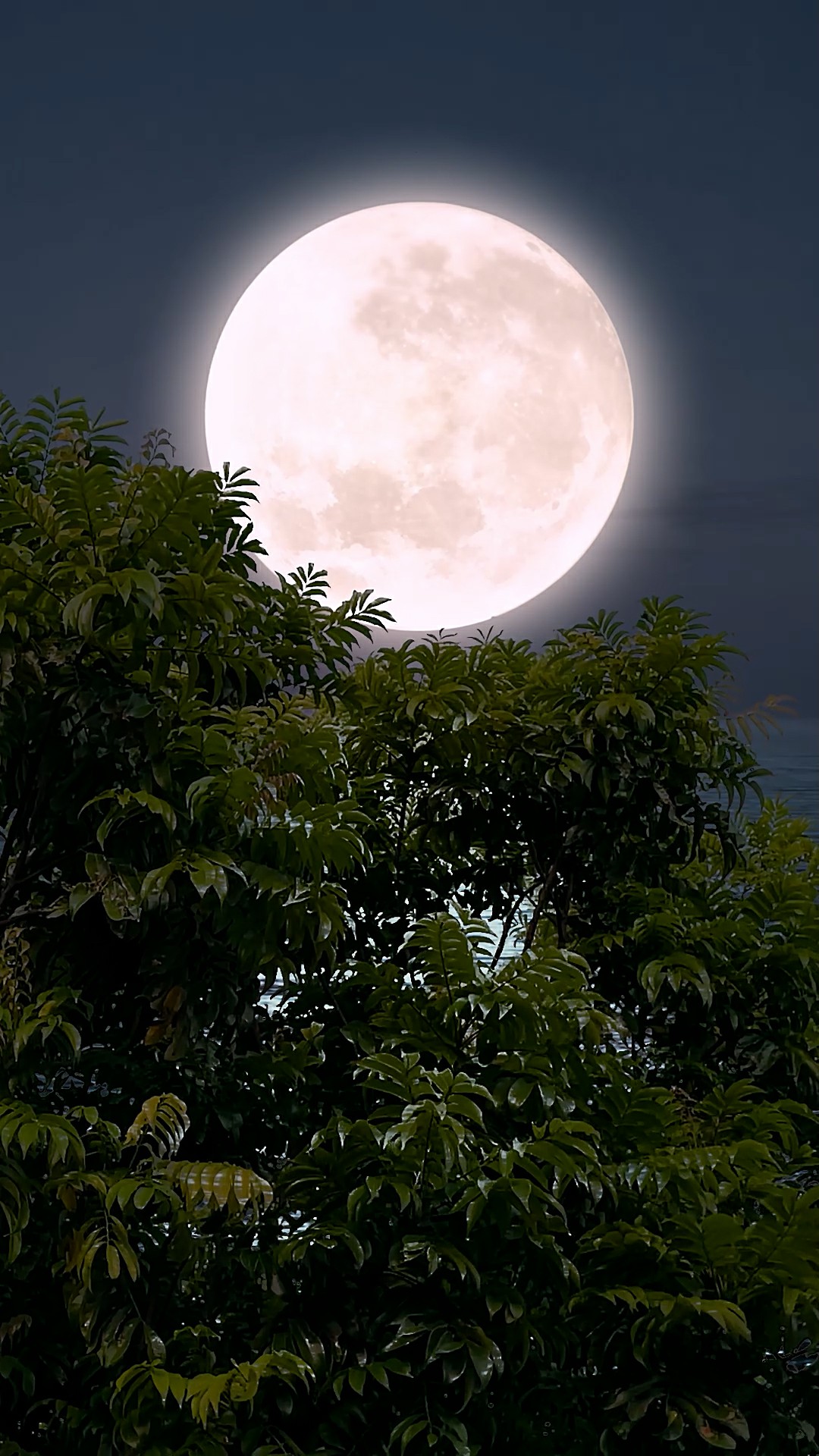 唯美夜色