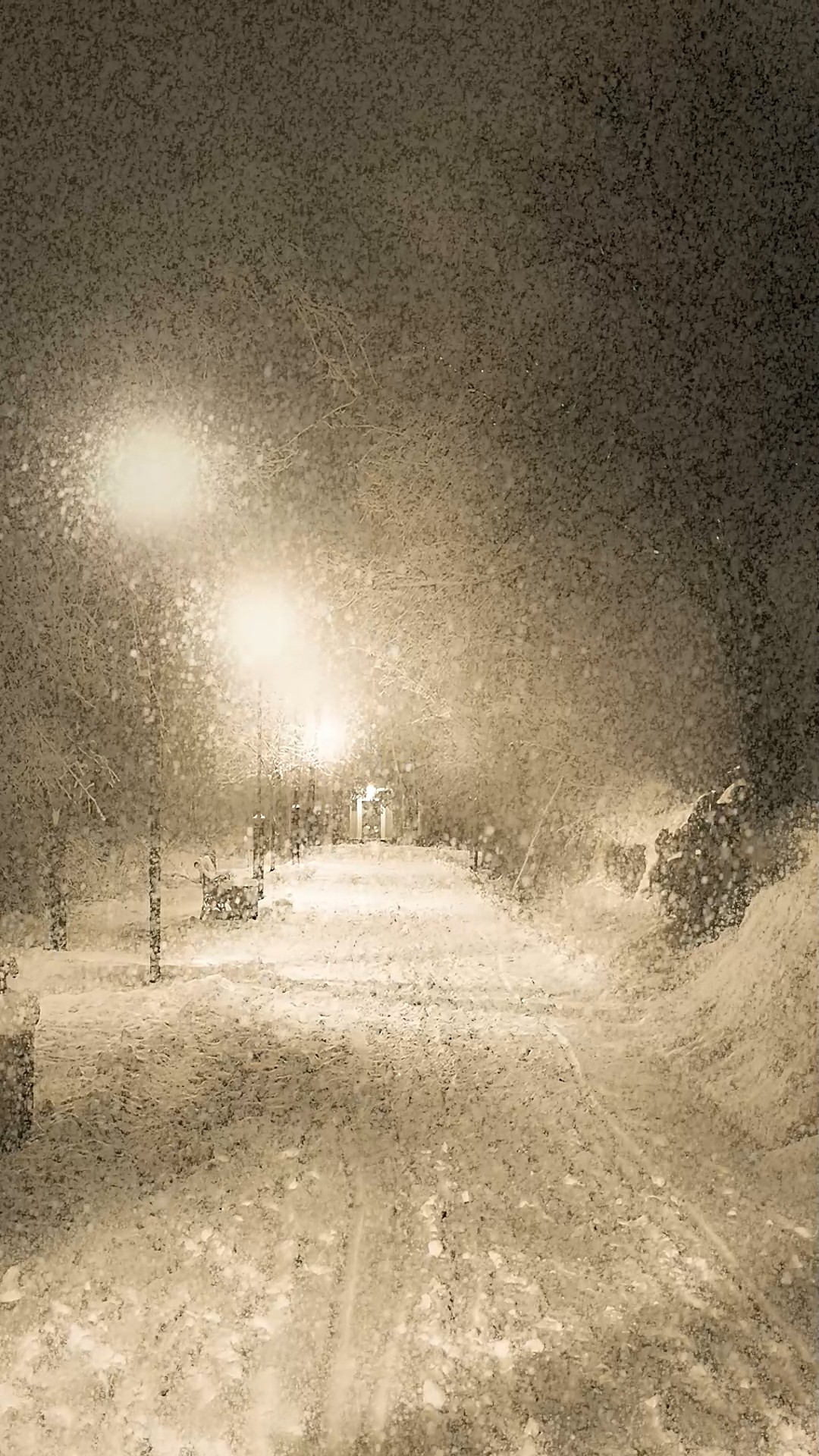 爆款下雪夜景
