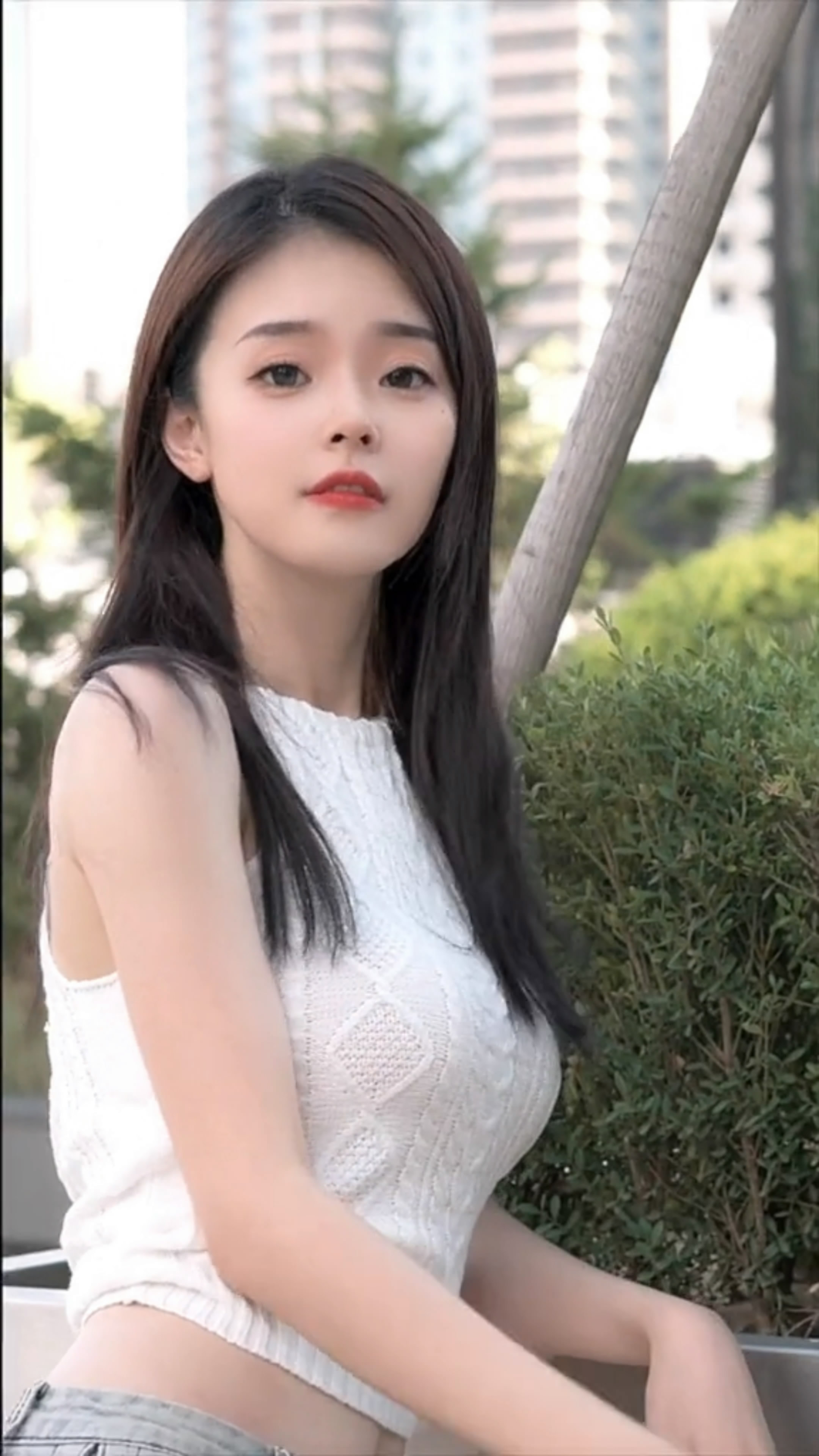 朝雪录向李兰迪敖瑞鹏及粉丝致歉