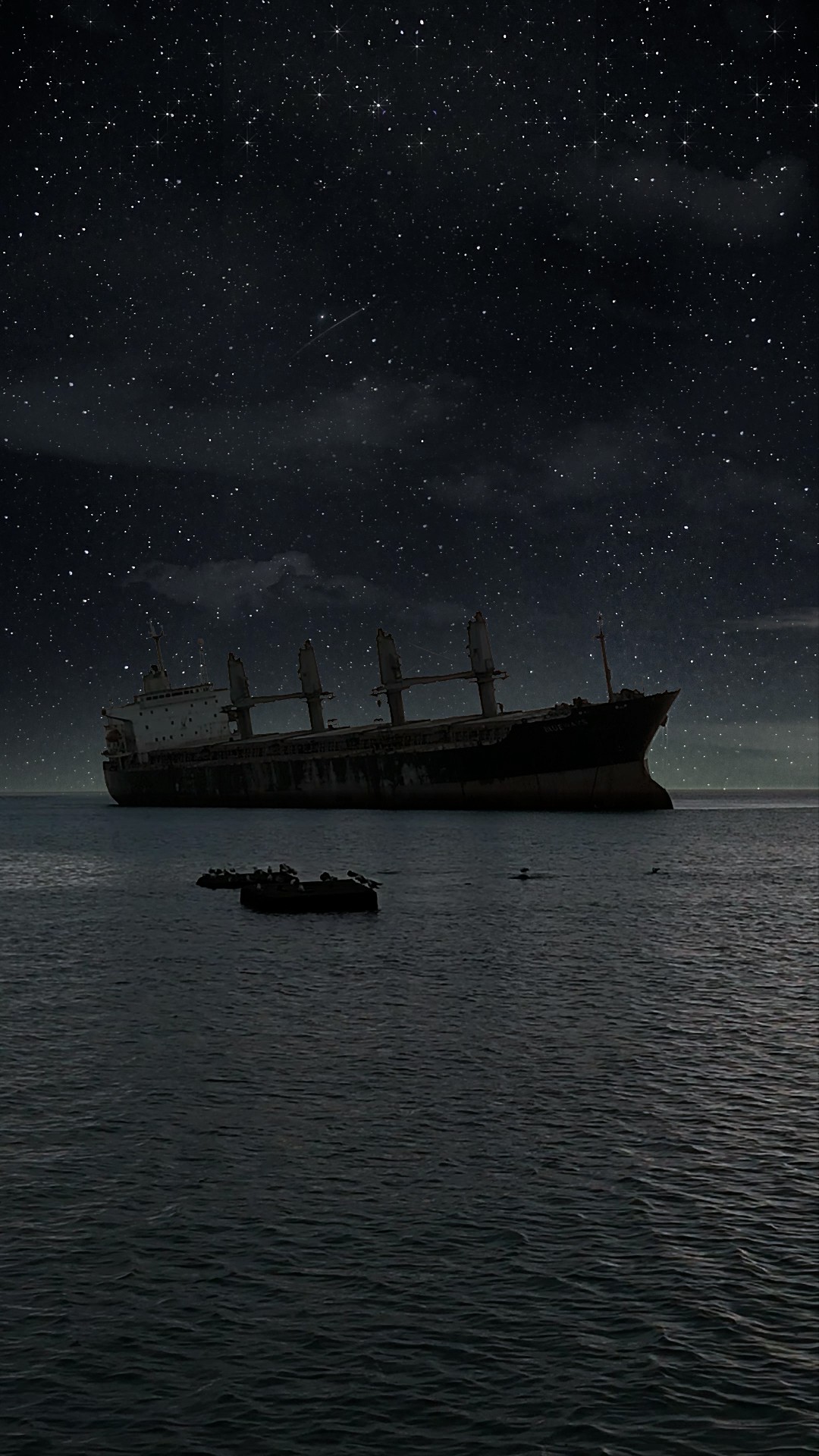 星空下的布鲁维斯号