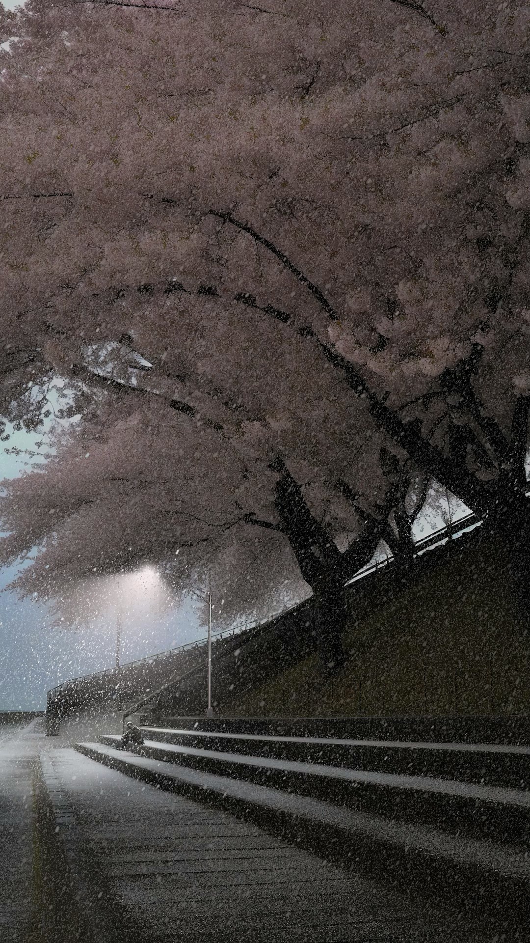 浪漫樱花树