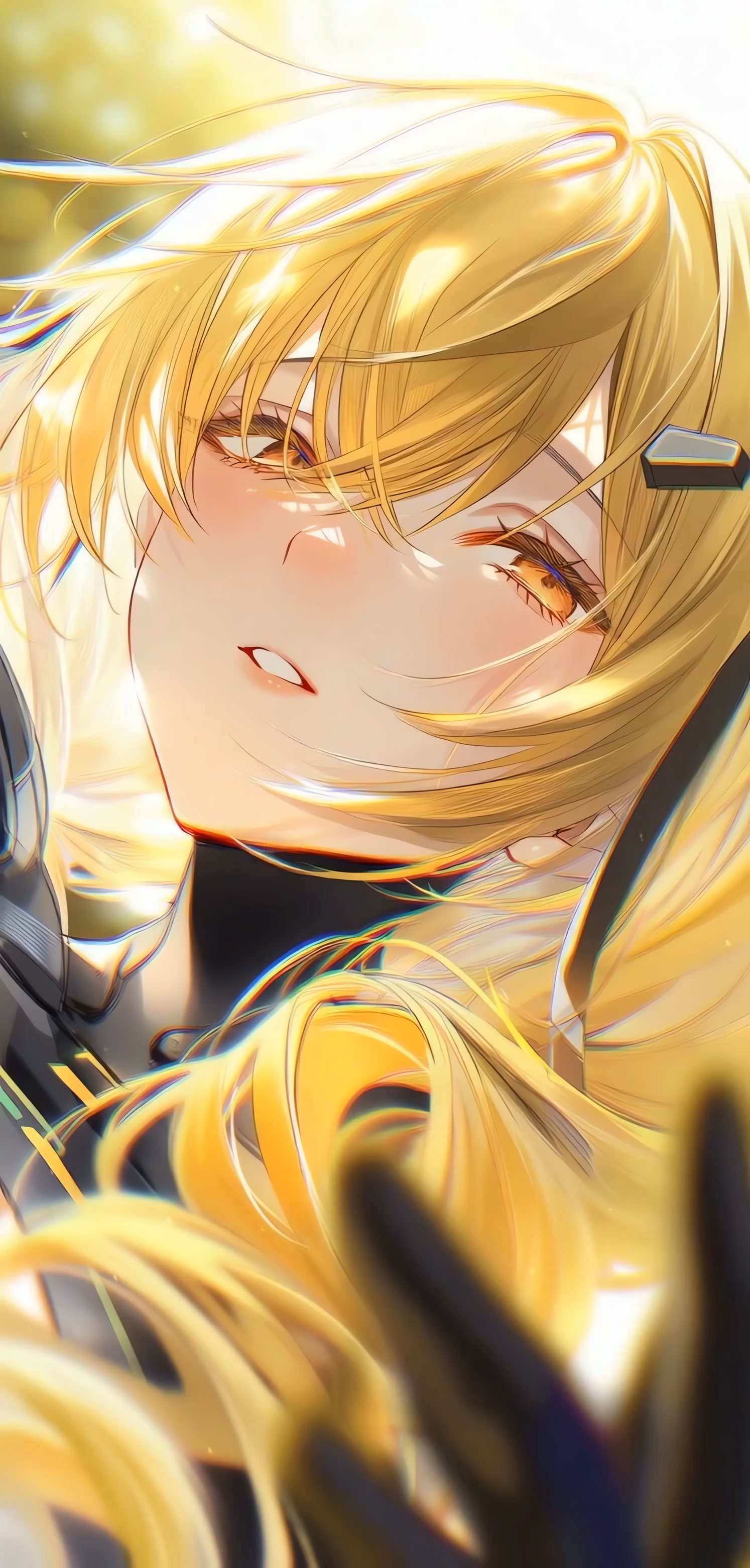 芬妮·戈尔登