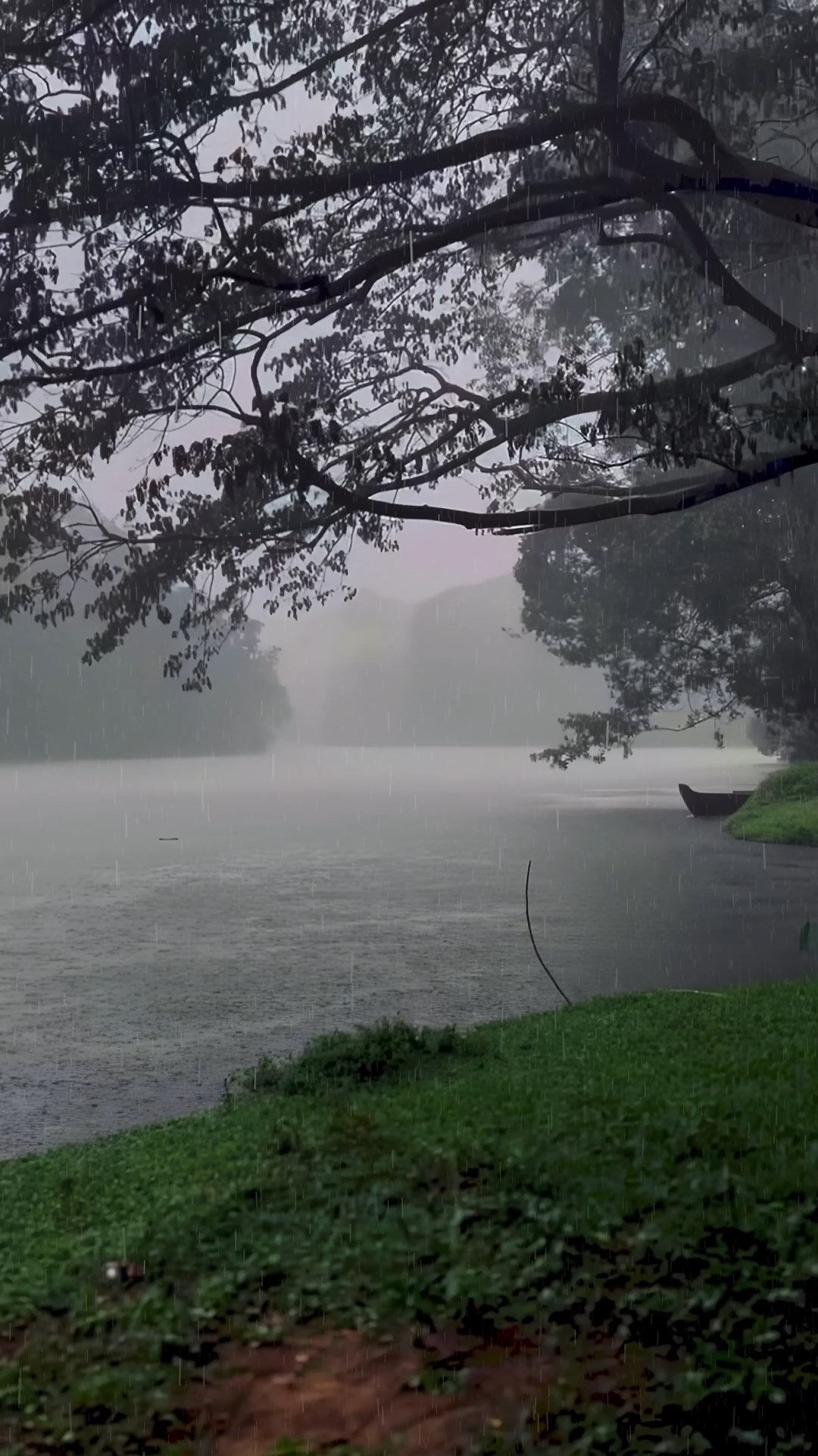 雨天意境