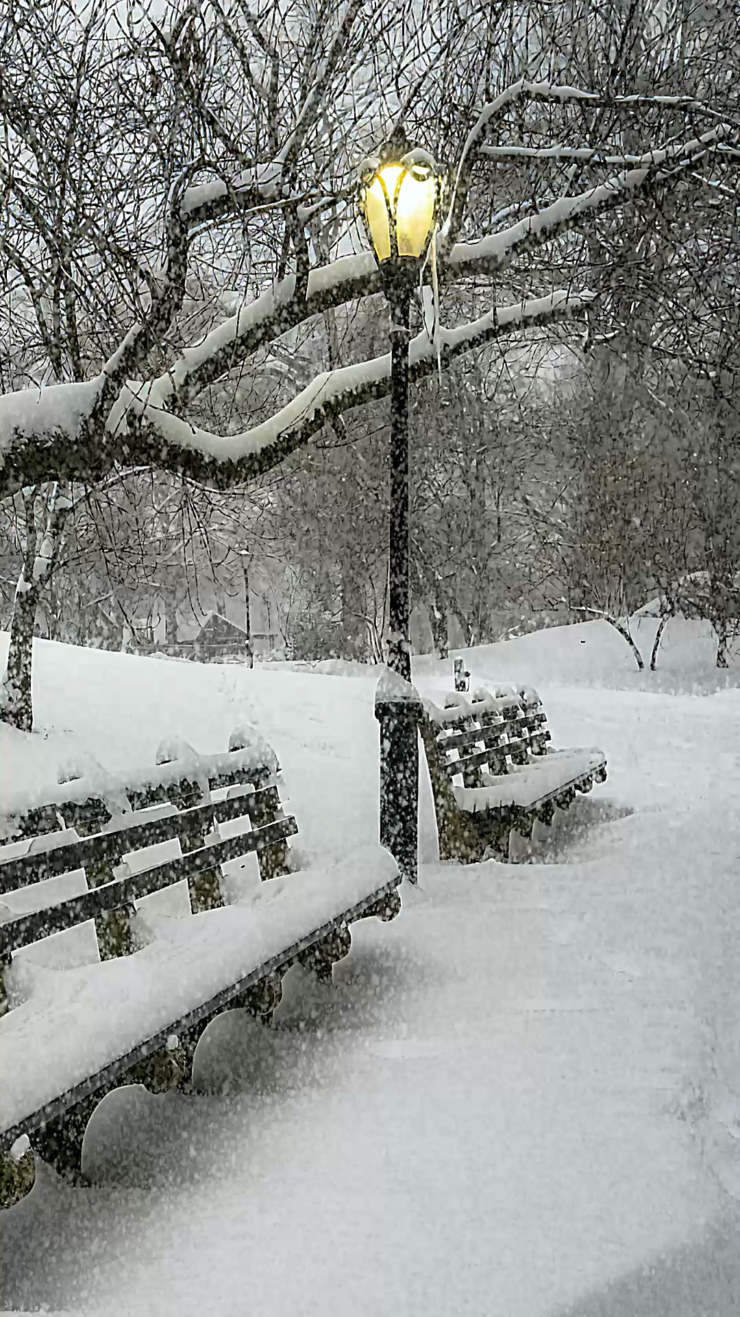 下雪天