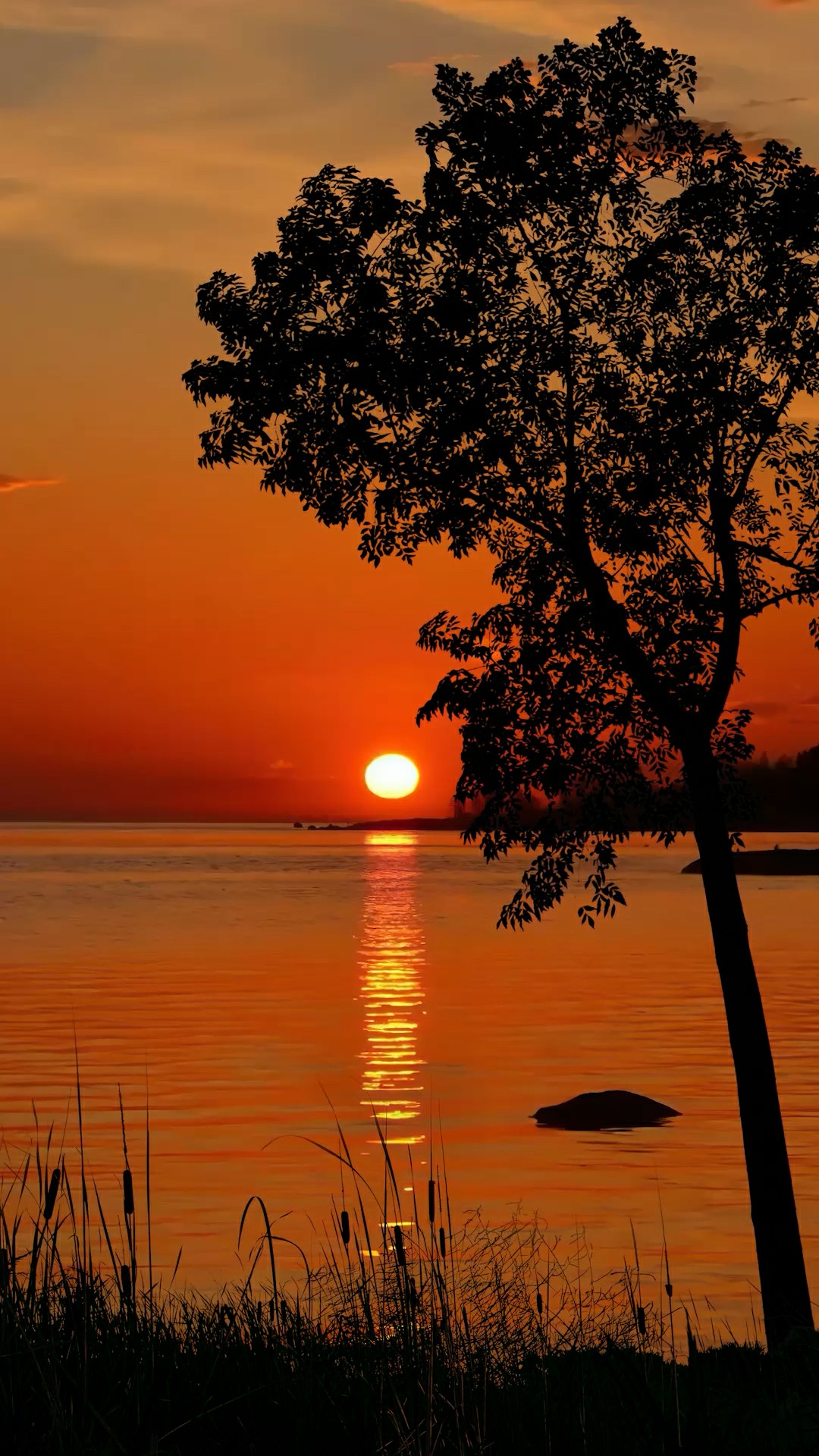 最美夕阳