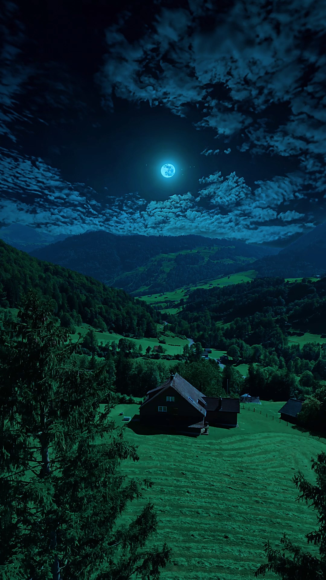 夜景氛围感壁纸