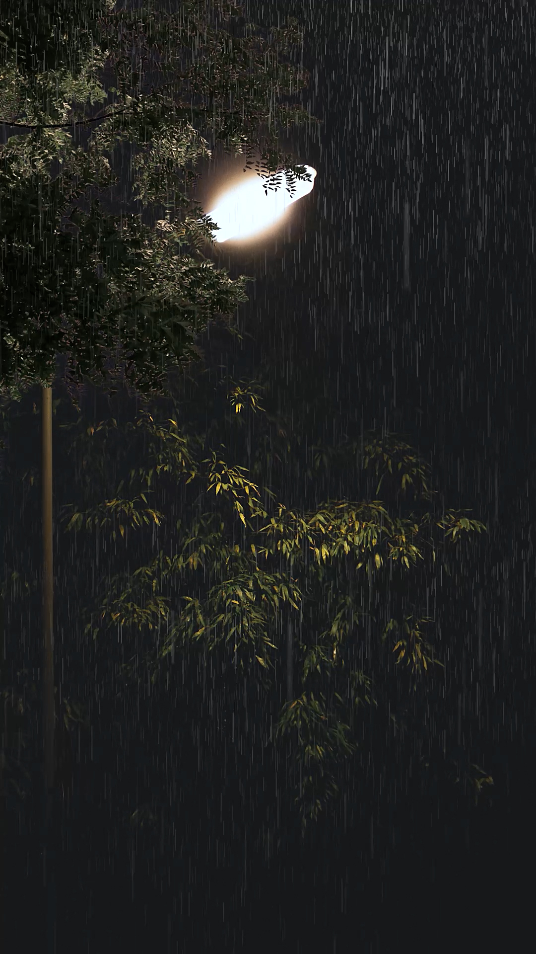 夜雨