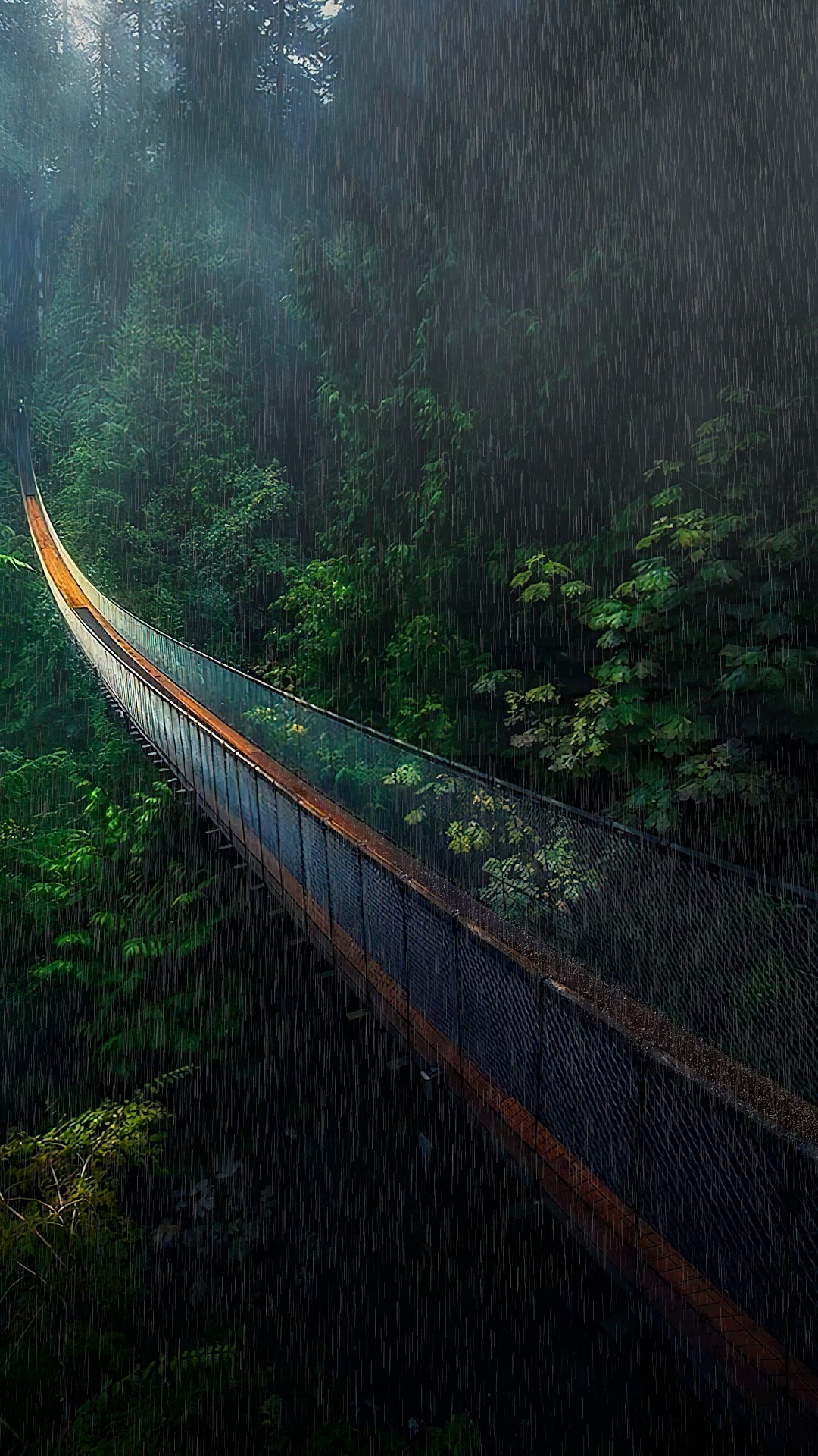 爆款丛林吊桥雨天