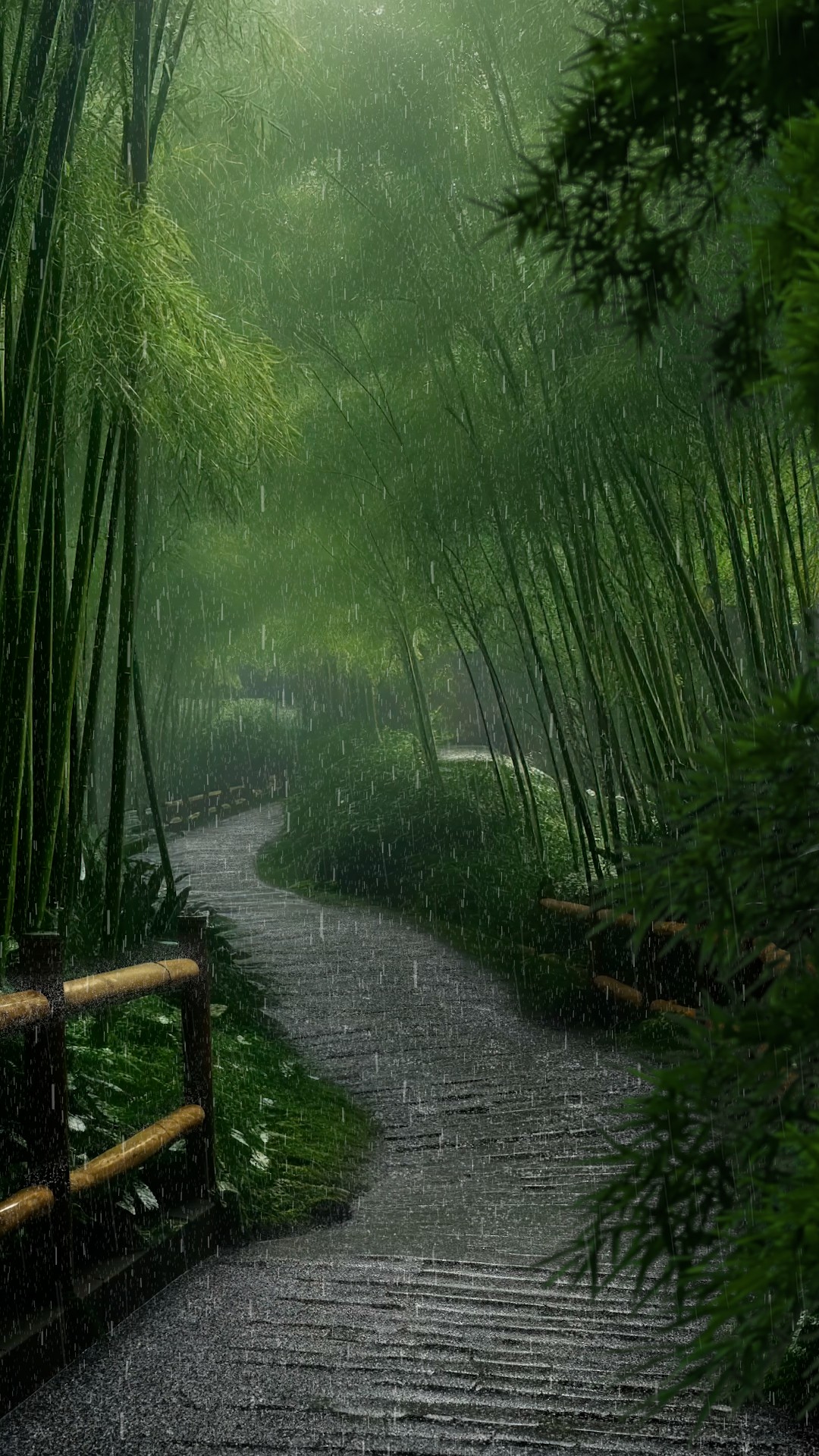 竹林意境雨天