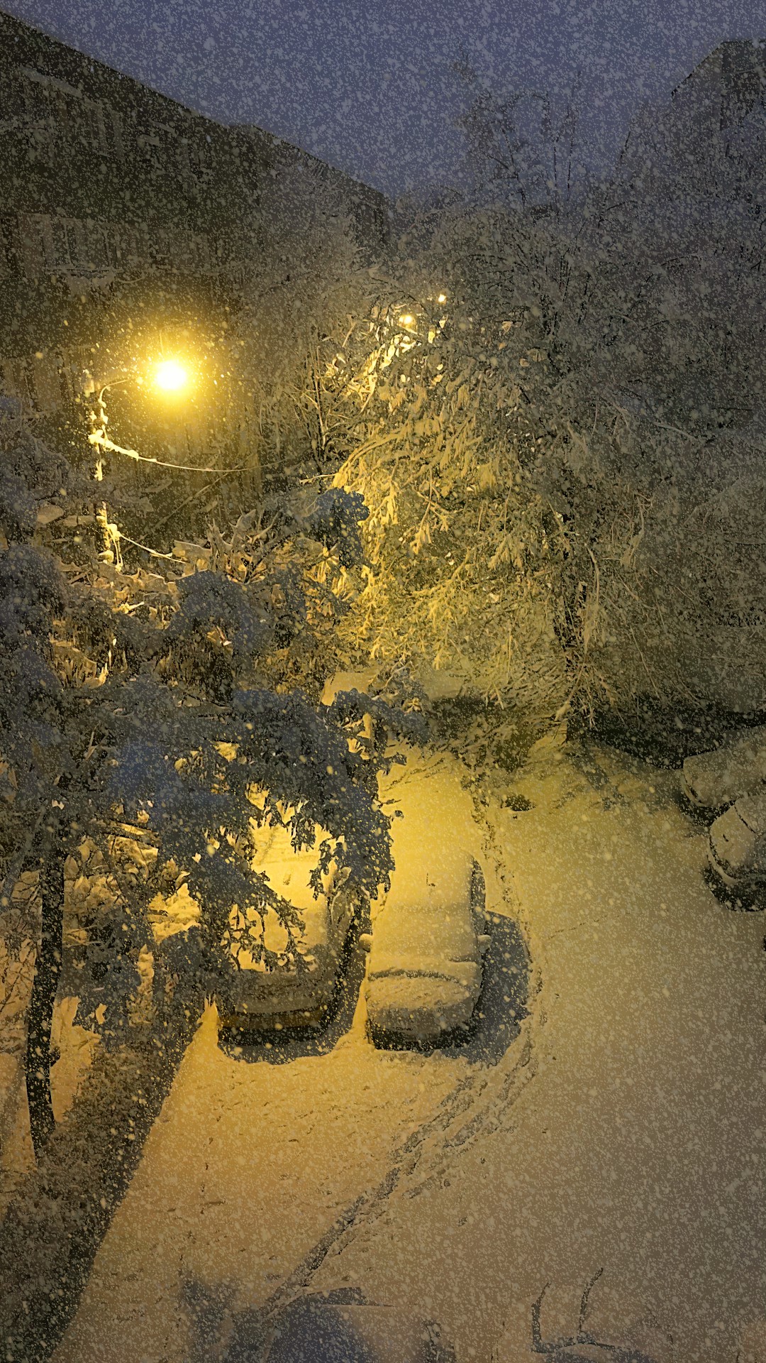 唯美下雪夜景