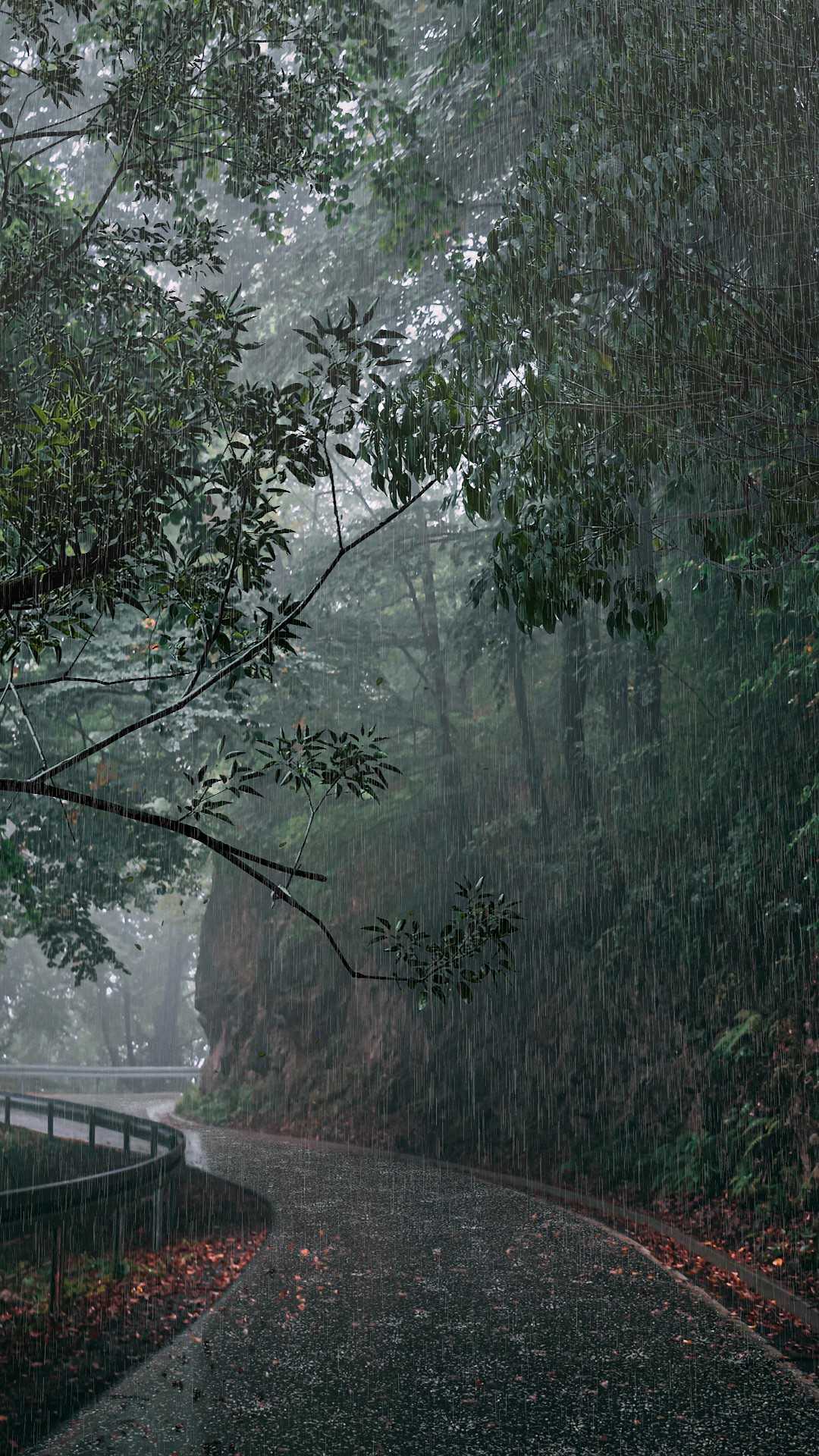 林间细雨