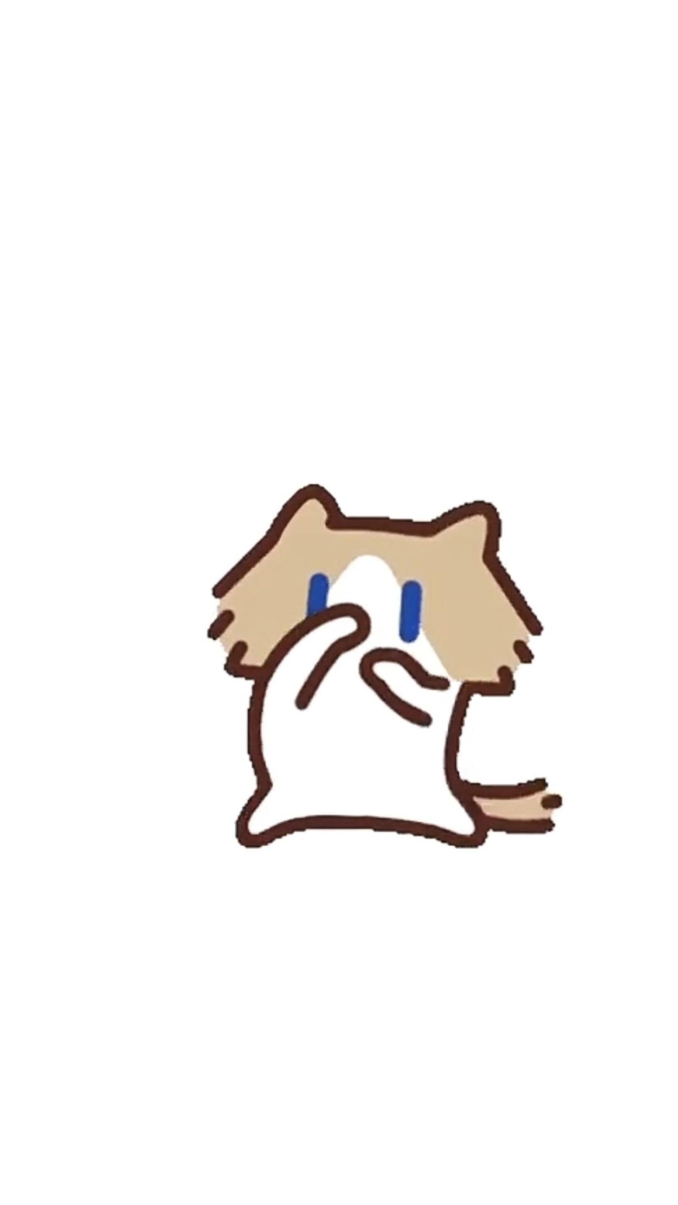 月薪喵