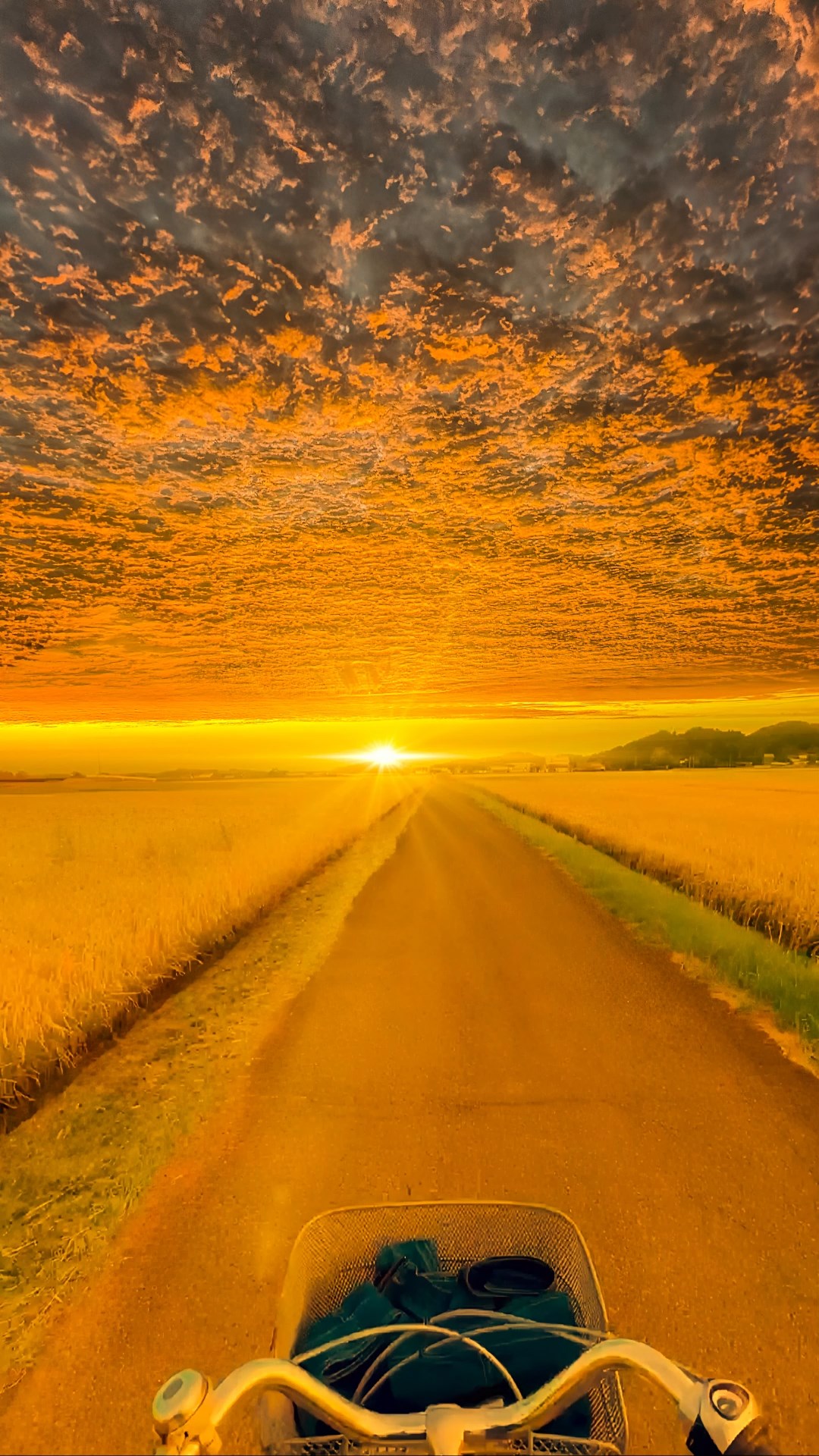 晚霞骑车