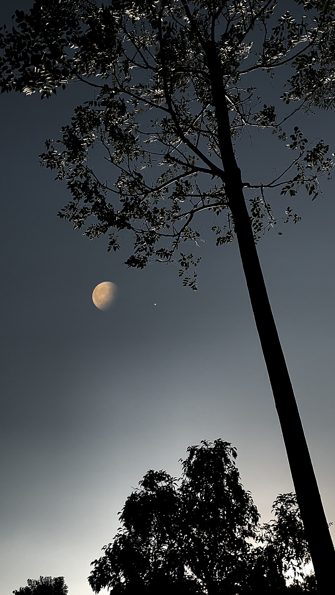 意境夜景